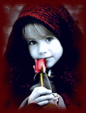 une rose pour toi